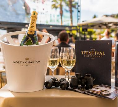 Aurora Sports | Cheltenham Festival Marbella Style | 10–13 March 2027 | 1–5 Nights | From £499